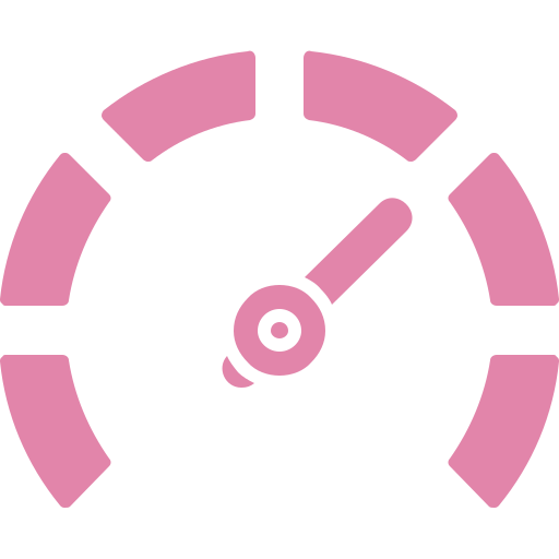 Gauge Icon